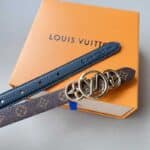 (W) Leather Belts - Image 5