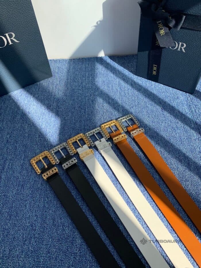 (W) 2.0 Leather Belts - Image 6