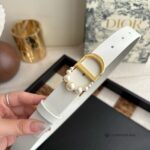 (W) 2.0 Leather Belts - Image 5